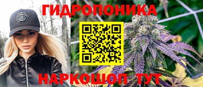 молекула духа Коммунар