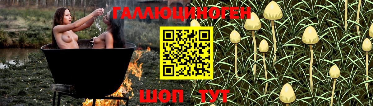 Псилоцибиновые грибы MAGIC MUSHROOMS  Галлюциногенные грибы ЛСД  Кимовск  Вход с VPN 